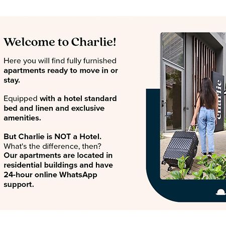 Charlie Franca Jardim Paulista Apartment São Paulo Exterior photo